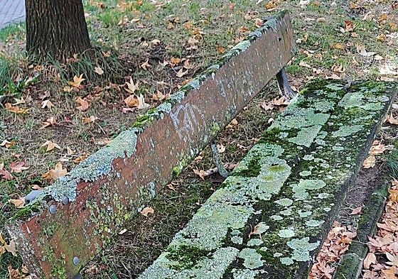 Iñaki Manterola denuncia: «Este es el estado de los bancos en la calle Mantulene. Con esta imagen, pocas palabras más se pueden decir al respecto. Hay en la zona algunos que no están tan mal porque los vecinos los limpian con pistola de presión. Ayuntamiento, de verdad, no es normal tener que andar así».
