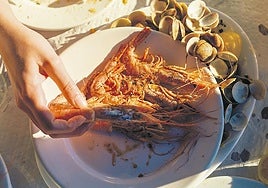 Portugal trajo a Donostia sus sabores más tradicionales con 'Tasca'