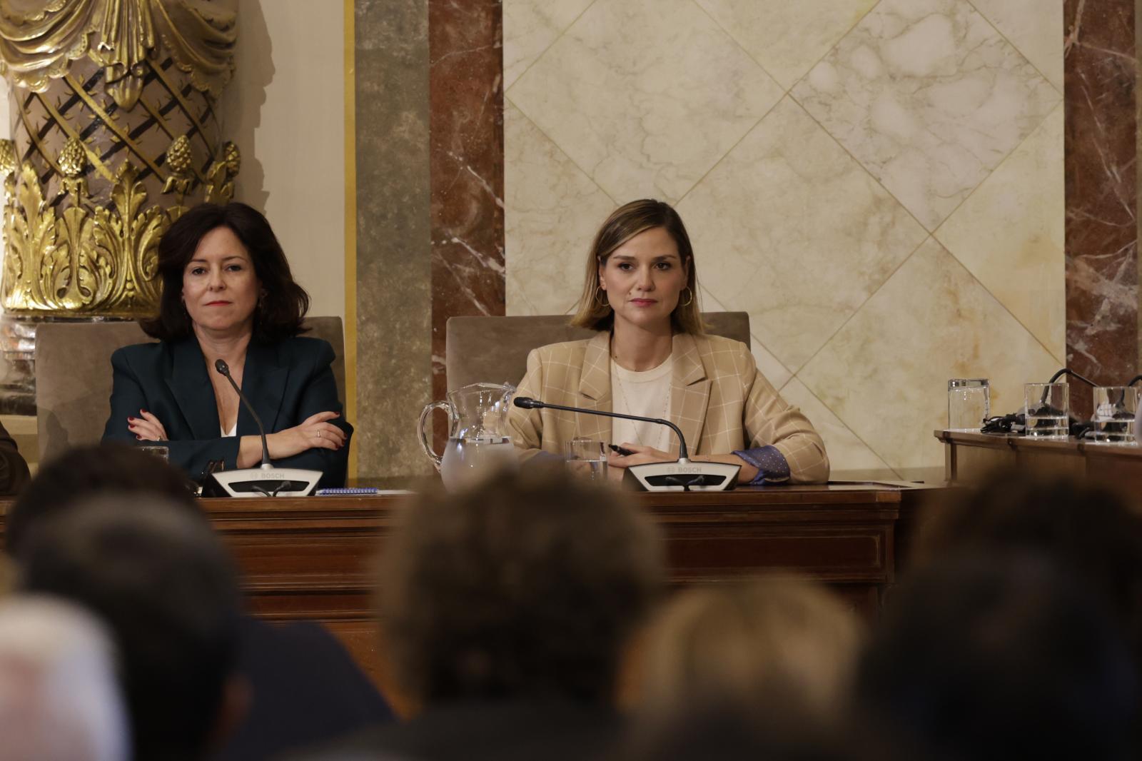 Ane Oyarbide, este miércoles durante el pleno.