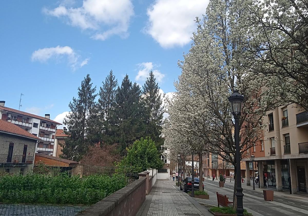 Desde el Ayuntamiento denuncian actos incívicos durante los últimos tiempos.