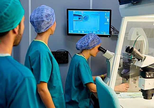 Laboratorio de IVF-Life Donostia