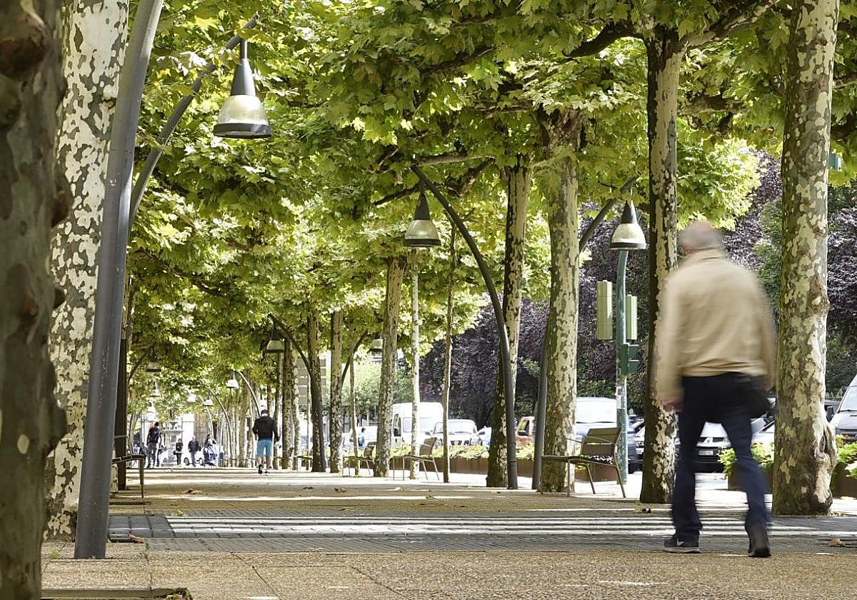 Vista parcial del paseo San Francisco.
