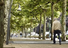 Vista parcial del paseo San Francisco.