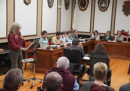Miembros de la plataforma Errespetatu Andoain en la lectura de la moción presentada en el Pleno.