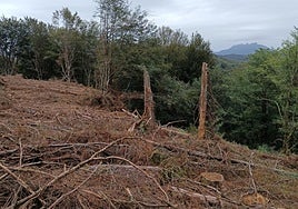 Los rastros de los trabajos realizados son visibles en Añarbe.