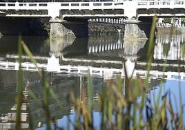 Vista parcial del puente Nuevo, cuyo derribo y sustitución está anunciado desde hace ya un tiempo y está previsto que se haga en 2026.