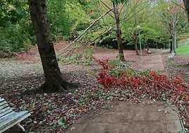 Sirimiri: Caída de ramas en Katalina Eleizegi