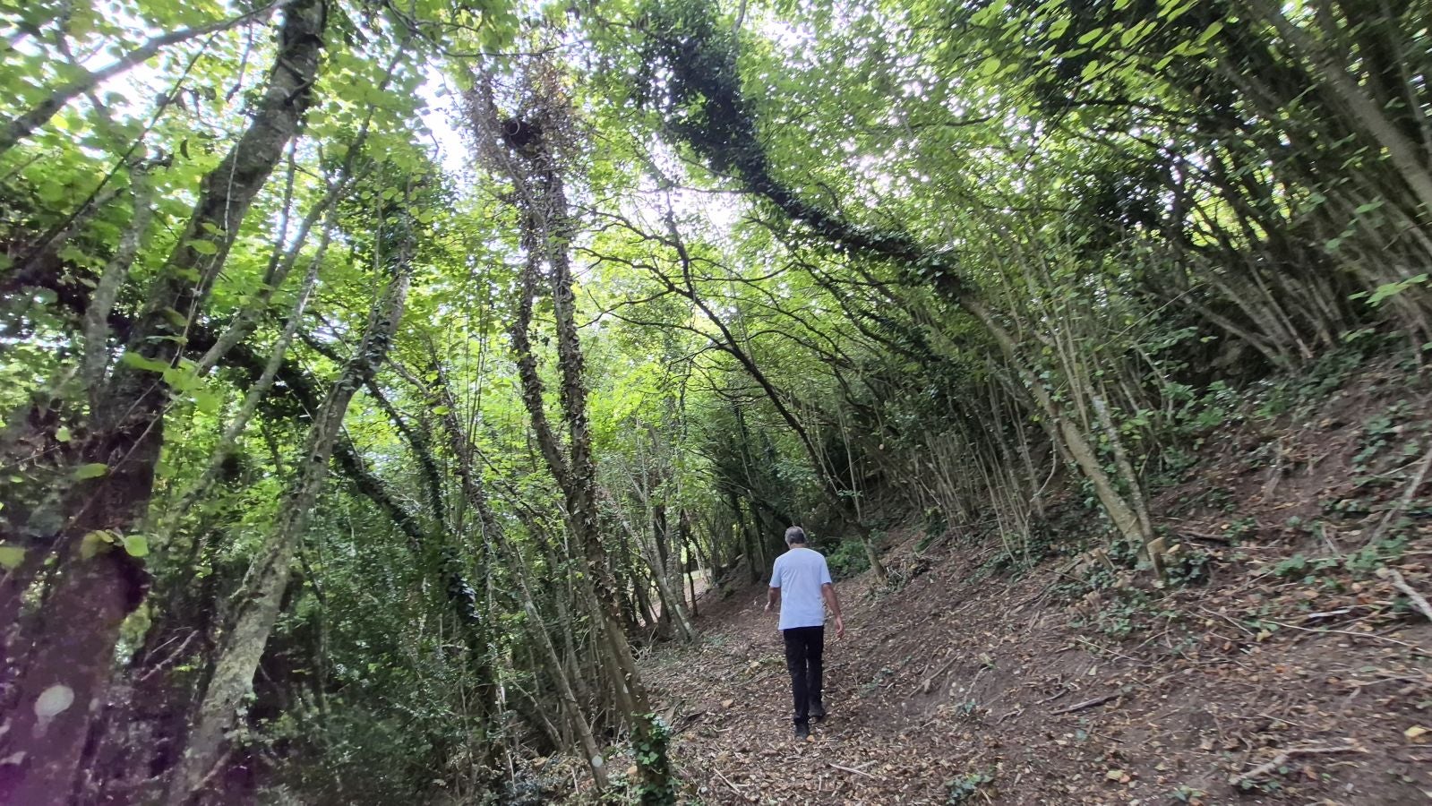 Cellorigo, un vistoso rincón de La Rioja