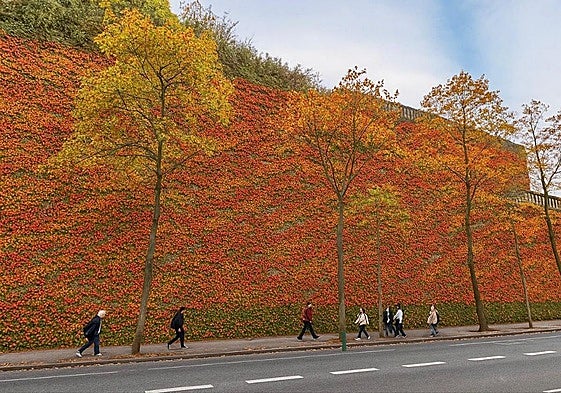 Fotomontaje de la propuesta de jardín vertical para el muro de San Bartolomé.