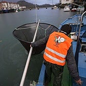 Un angulero pesca en Orio.