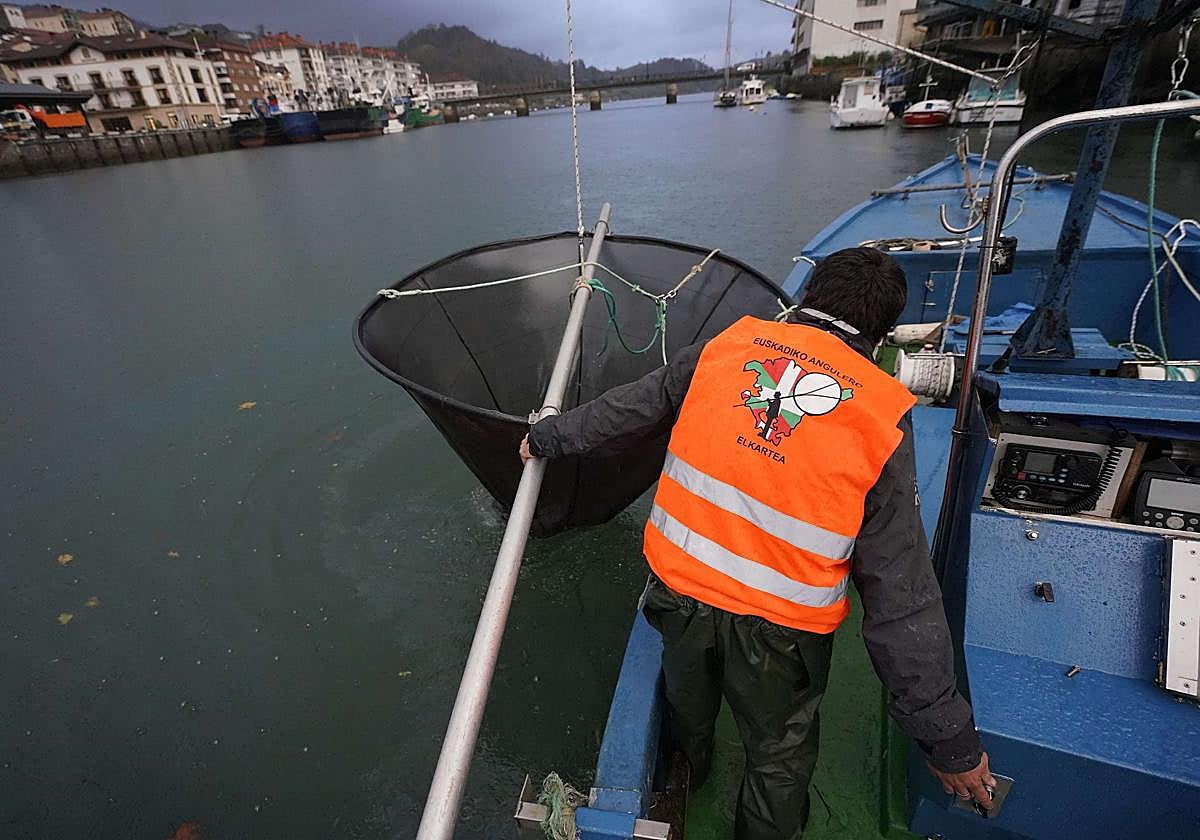 Un angulero pesca en Orio.