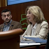 Carmen Adán, en su comparecencia de este miércoles en el Parlamento.