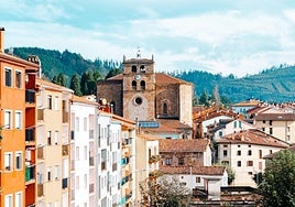 La encuesta persigue realizar una radiografía de la vivienda en Elgeta.