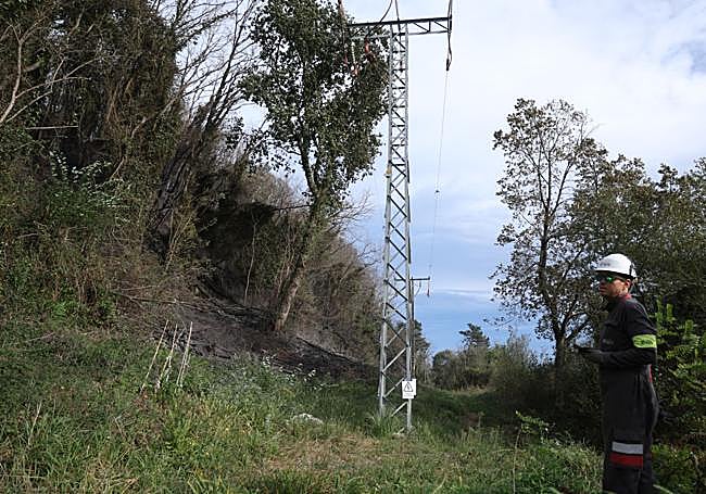 Un operario trabaja en el punto en el que un árbol cayó sobre el tendido eléctrico.