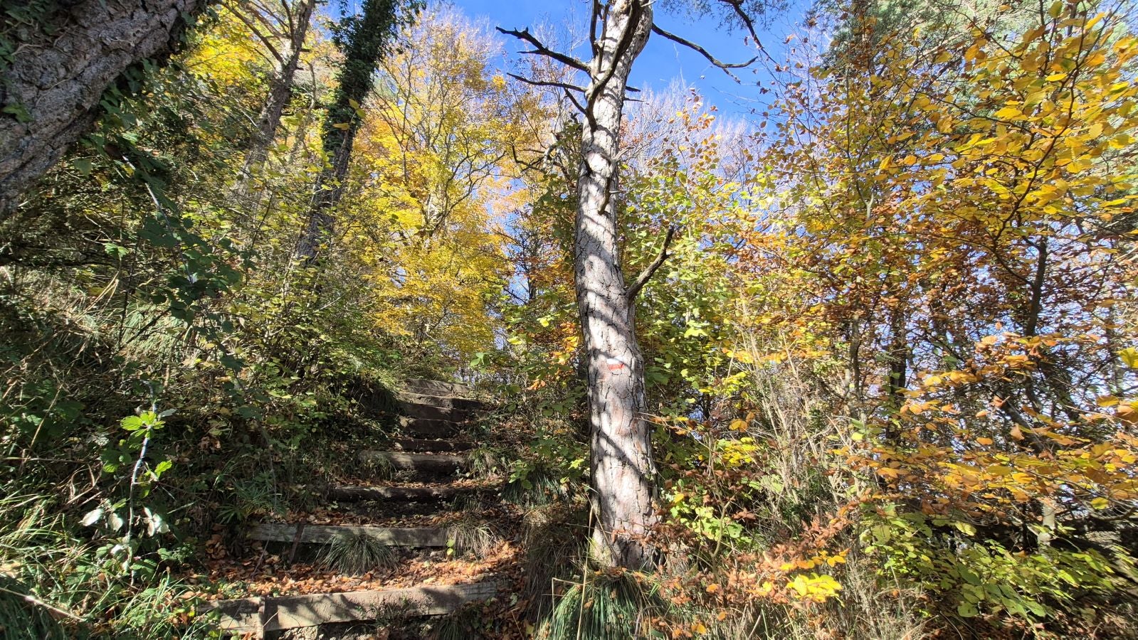 Irulegi, testigo de episodios históricos