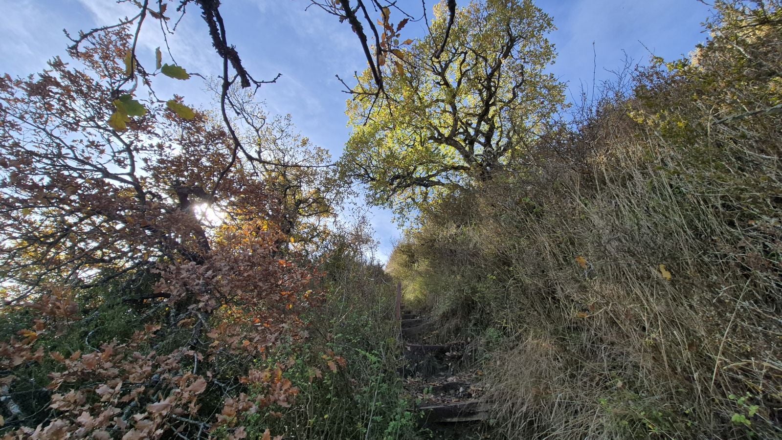 Irulegi, testigo de episodios históricos