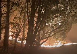 El incendio de Hondarribia, desde dentro