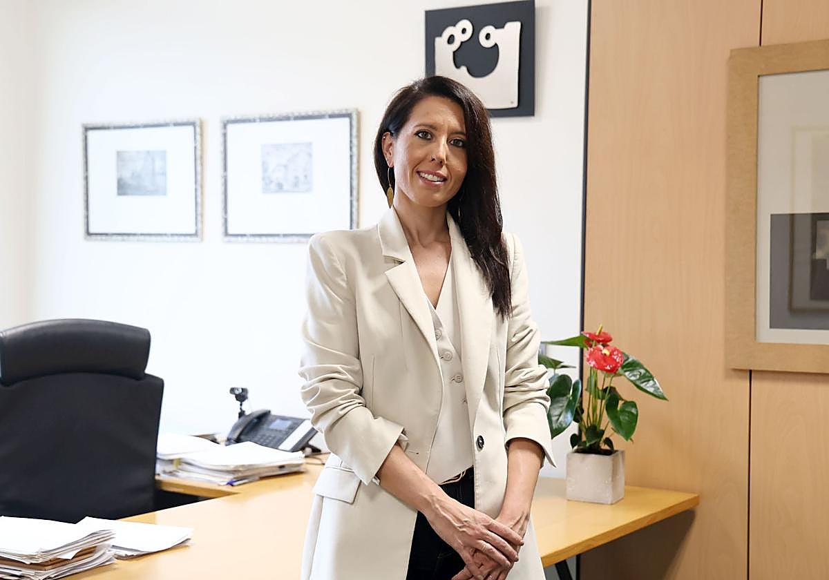 «Las licencias VTC que pudiera dar la Diputación serían solo para prestar servicios interurbanos»