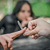 Euskadi exporta marihuana a Europa y sitúa a los adolescentes a la cabeza del consumo