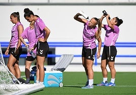 El Eibar busca dar un paso haciala tranquilidad a costa del Espanyol