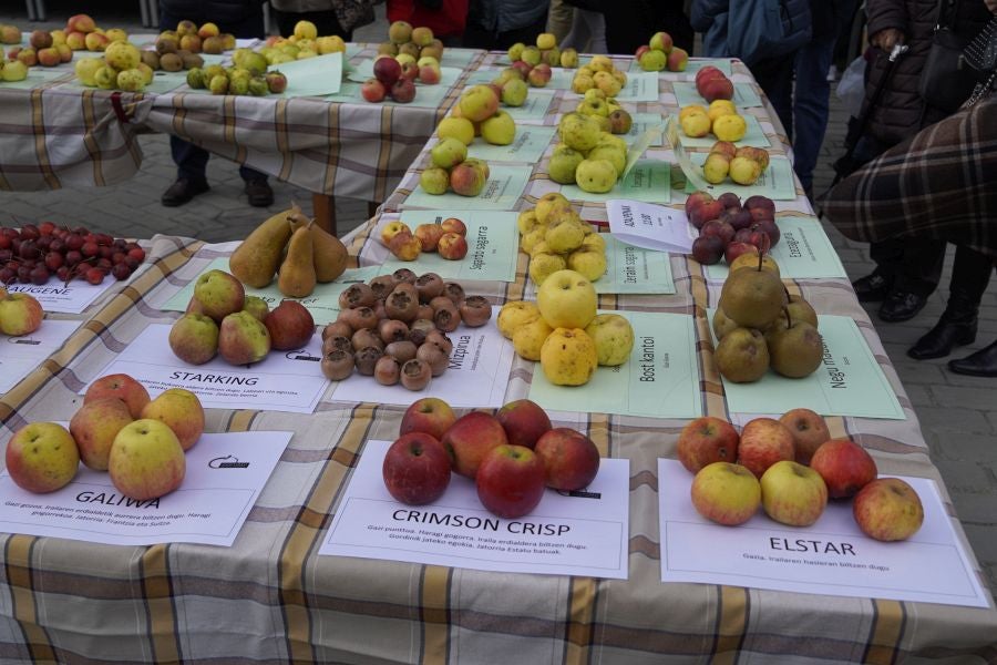 Sagar festa Gabirian