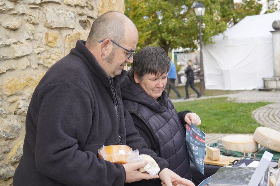 Sagar festa Gabirian