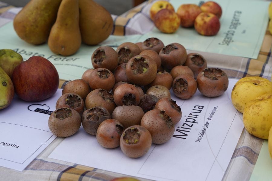 Sagar festa Gabirian