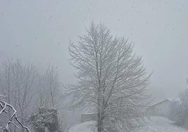 Llega la masa de aire ártico a Gipuzkoa: consulta los municipios que se quedarán con temperaturas bajo cero esta semana