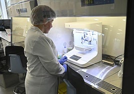 El Gobierno Vasco impulsará con 140 millones de euros la investigación en los próximos 4 años.