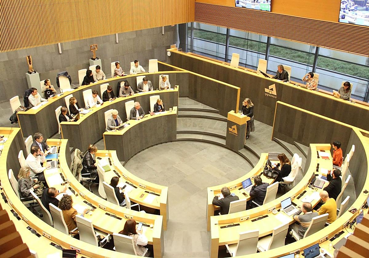 La diputada de Hacienda yFinanzas, Itziar Agirre, compareció ayer en las Juntas de Gipuzkoa para la aprobación de los dos impuestos.