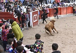 Vaquillas en los carnavales de Tolosa