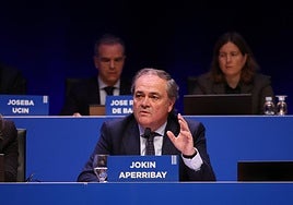 Aperribay interviene en la última Junta de Accionistas.