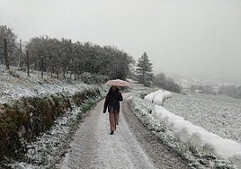 Bidania, a primera hora de esta mañana.