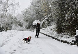 Los paseos por el monte cambiaron ayer por completo de paisaje, como el de esta mujer que junto a su perro caminaba sobre la nieve cerca de la ermita de La Antigua, en Zumarraga.
