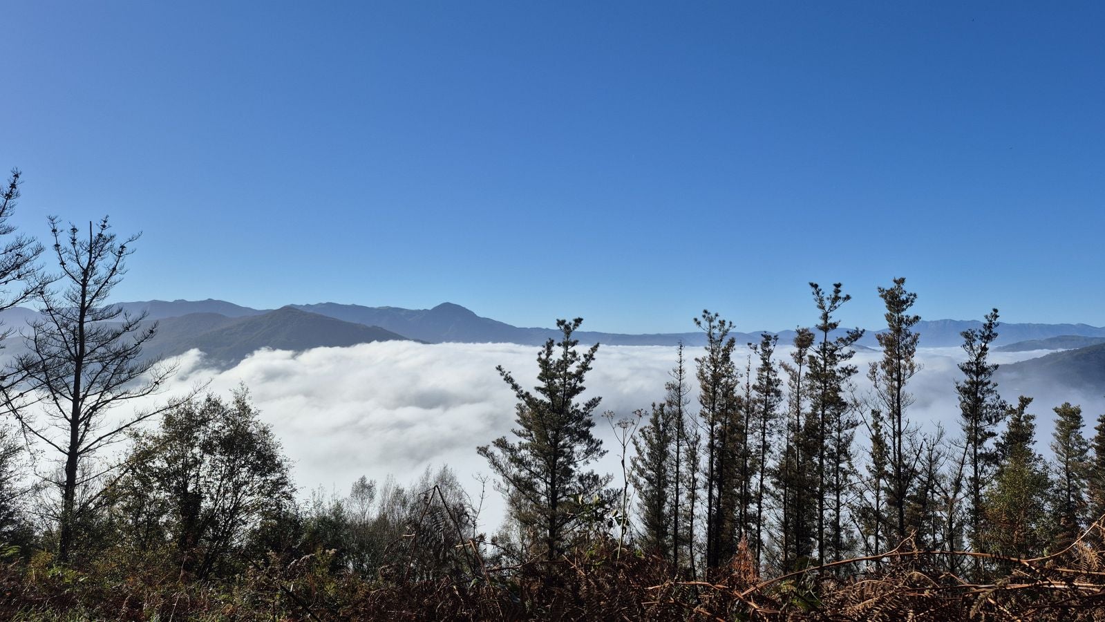 El increíble lienzo de Tolosaldea