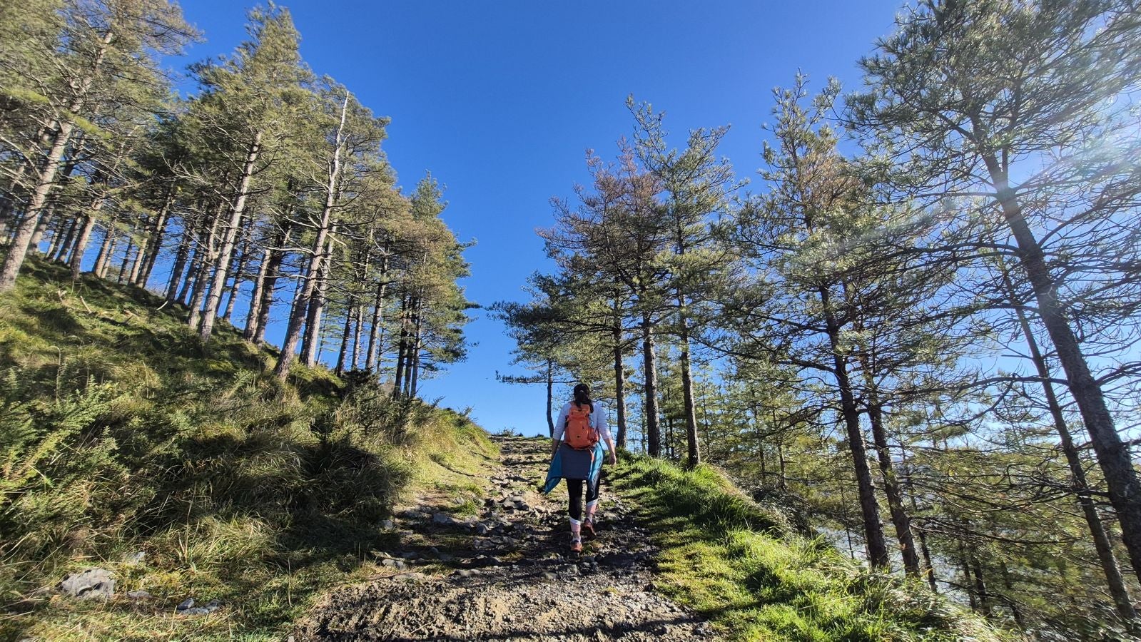 El increíble lienzo de Tolosaldea