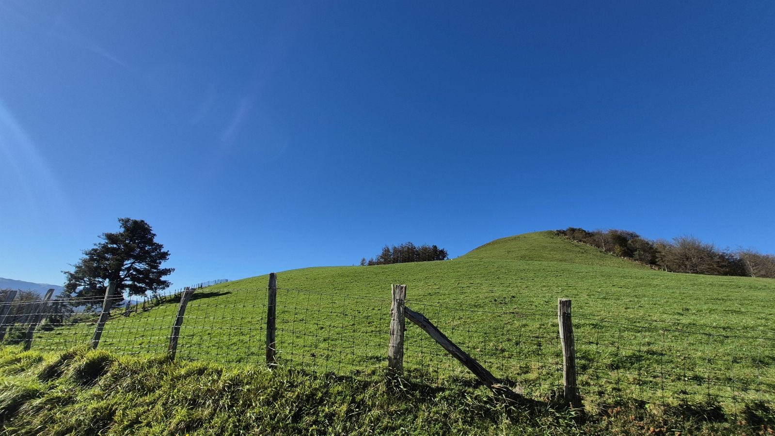 El increíble lienzo de Tolosaldea