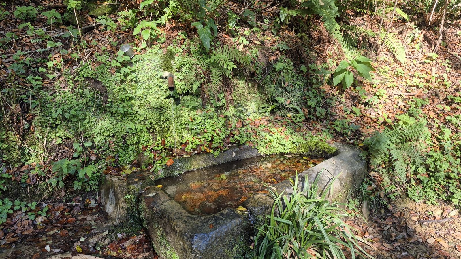 El increíble lienzo de Tolosaldea
