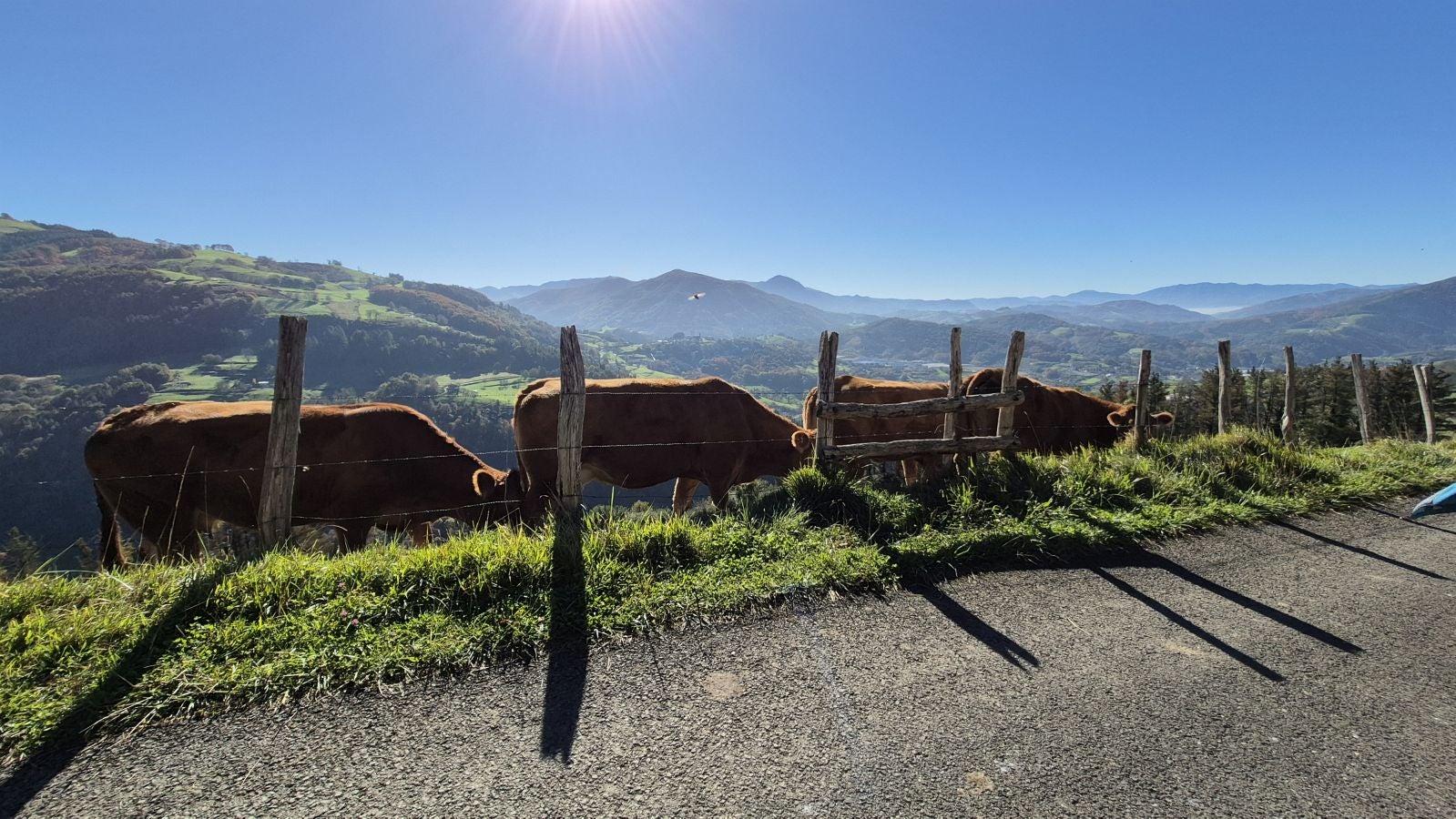 El increíble lienzo de Tolosaldea