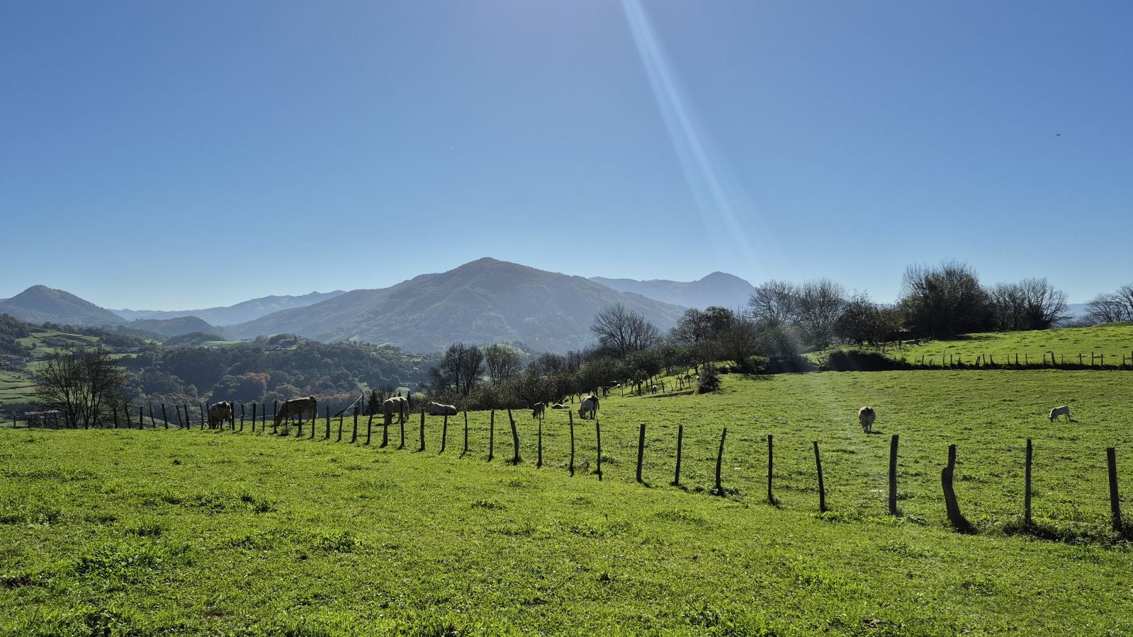 El increíble lienzo de Tolosaldea