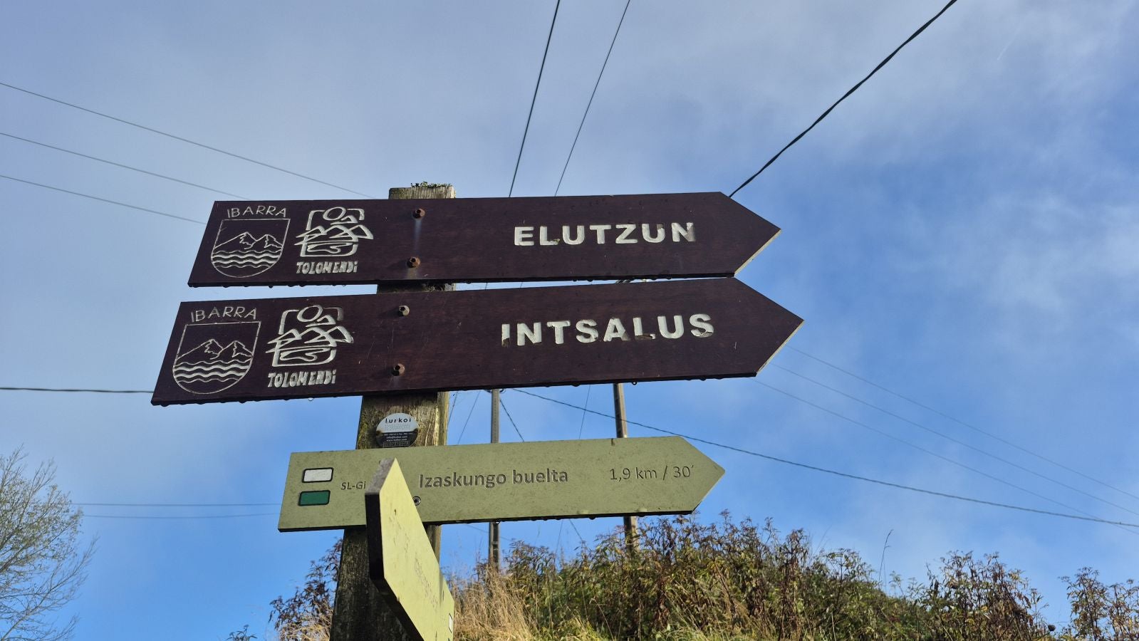 El increíble lienzo de Tolosaldea