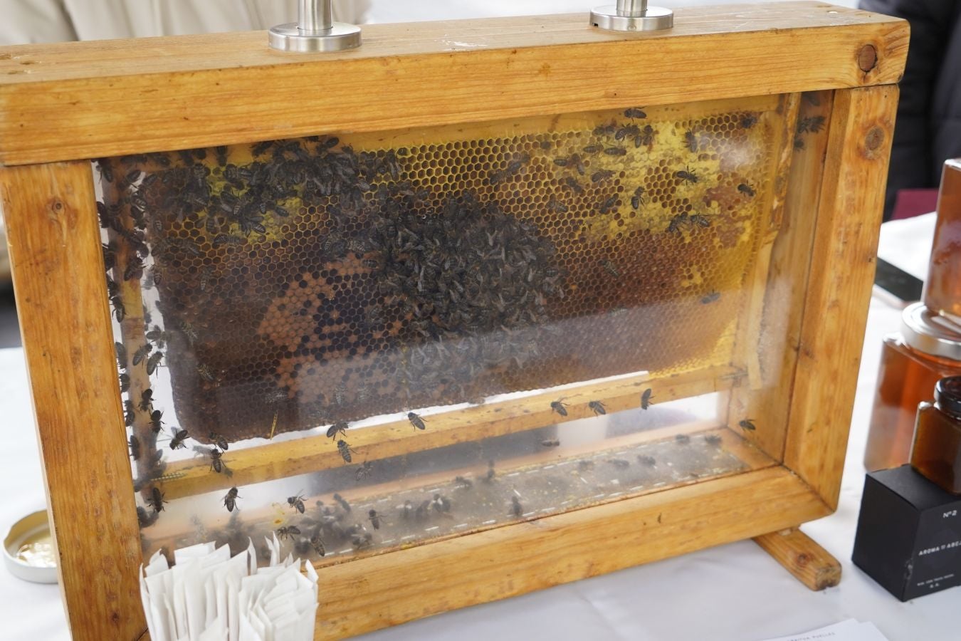 Odolkia, babarrunak eta ardoa nagusi Ormaiztegin