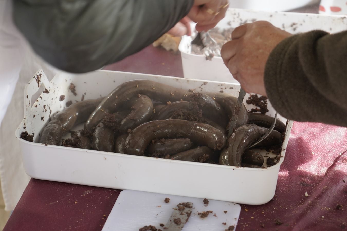 Odolkia, babarrunak eta ardoa nagusi Ormaiztegin