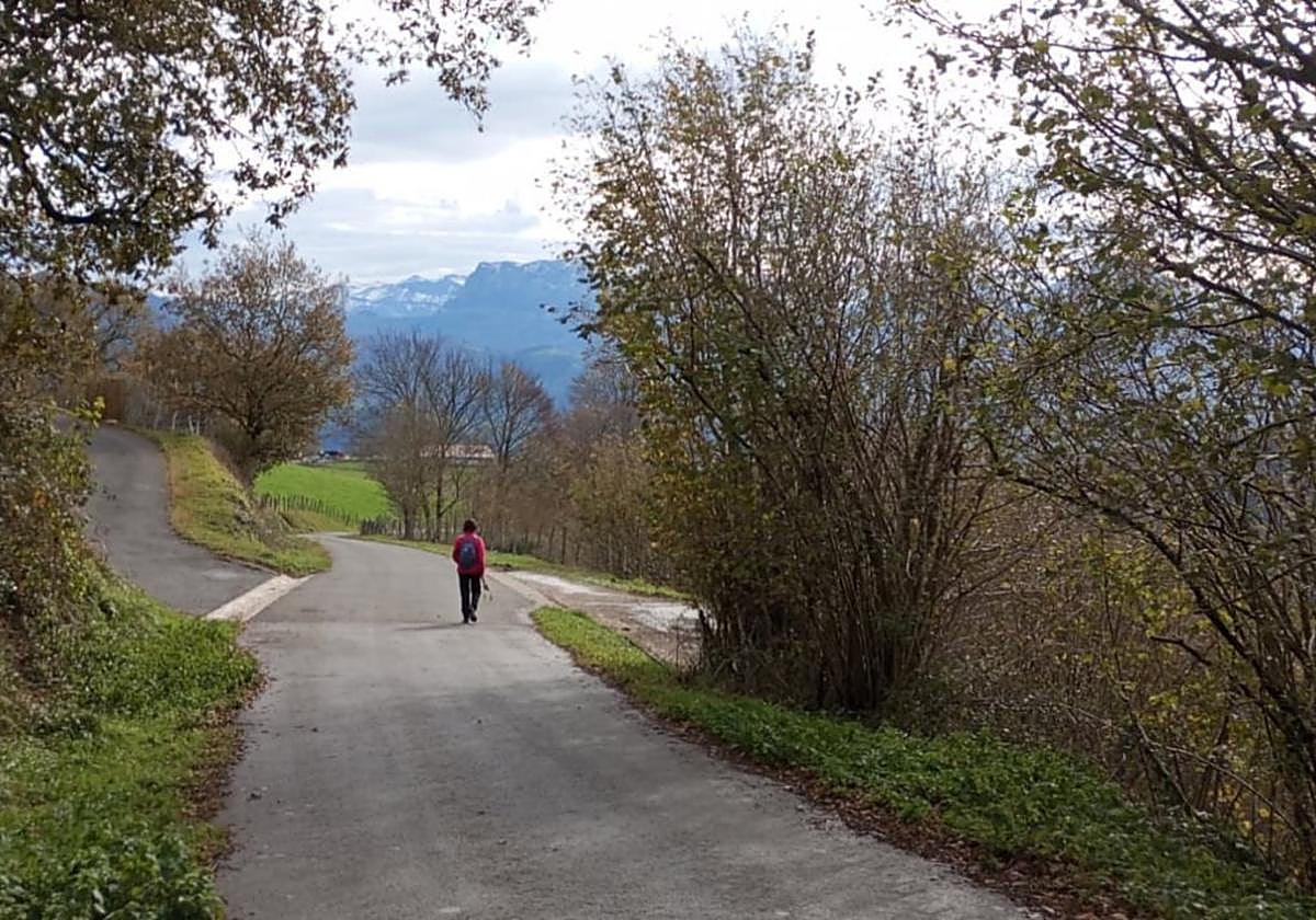 Cruce de caminos en el entorno rural del barrio tolosarra de Urkizu.