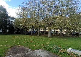 Las obras de apertura del jardín de Erkibe comenzarán a principios de diciembre