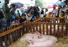 Imagen de la feria de San Andrés del año pasado en Azkoitia.