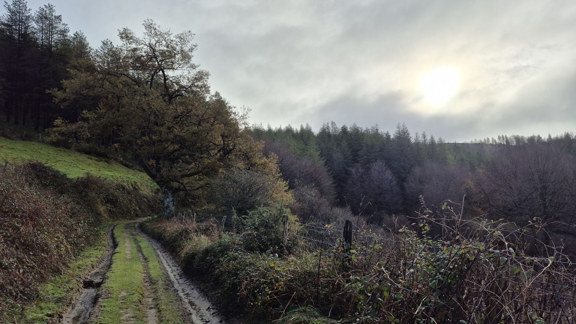 Las mejores imágenes del monte Ulizar