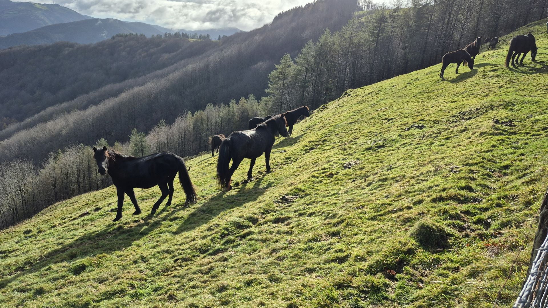 Las mejores imágenes del monte Ulizar