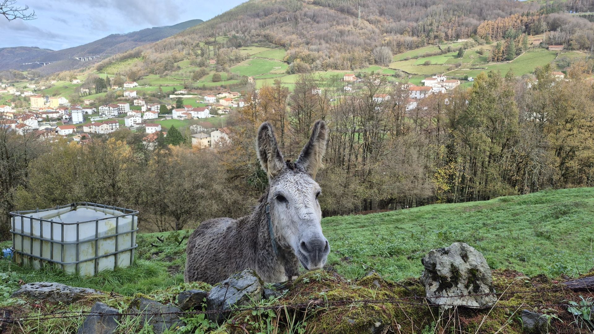 Las mejores imágenes del monte Ulizar