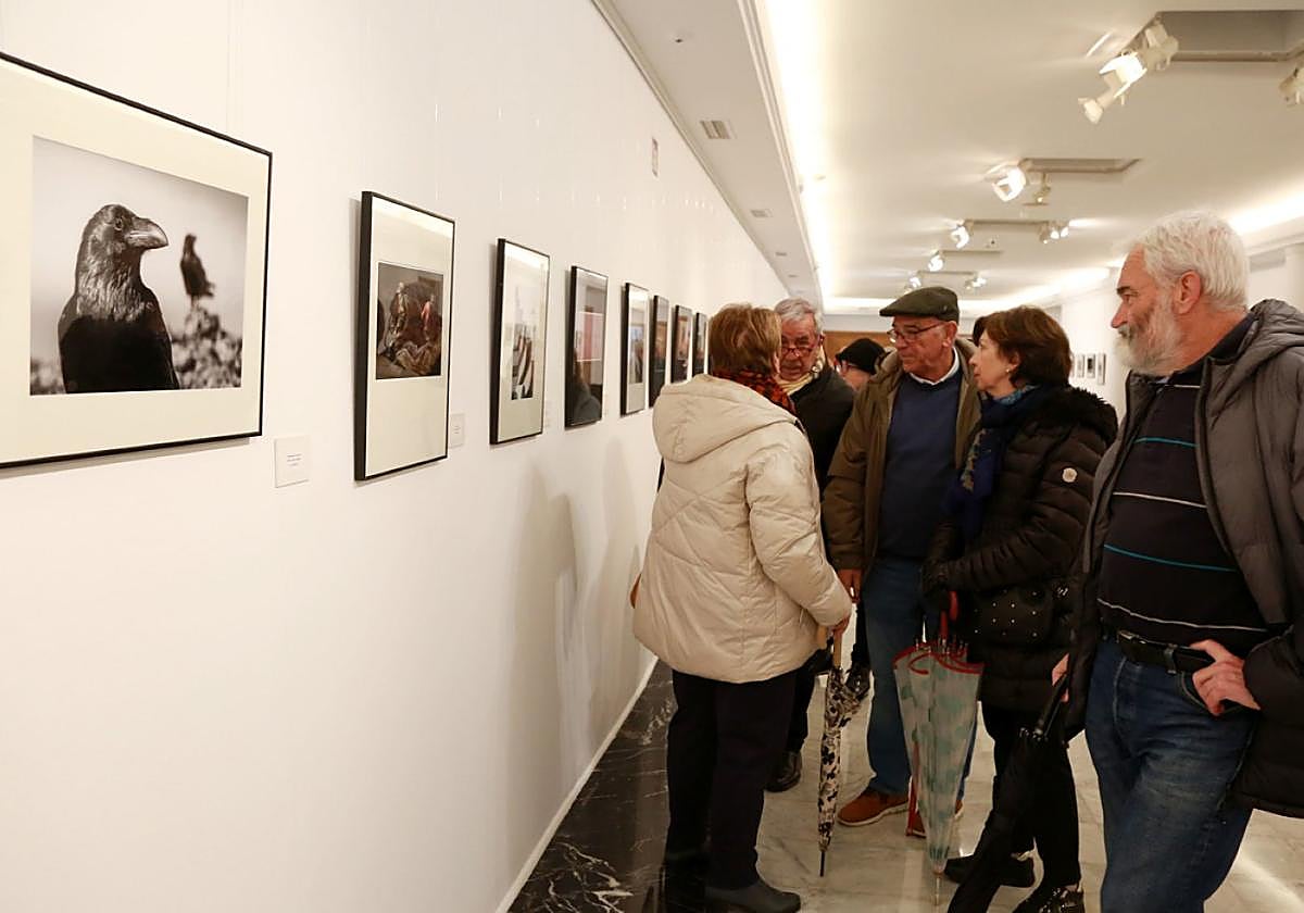 Visitantes a la exposición del Concurso Fotográfico Ciudad de Irun, instalada hasta el día 14 en el Amaia.